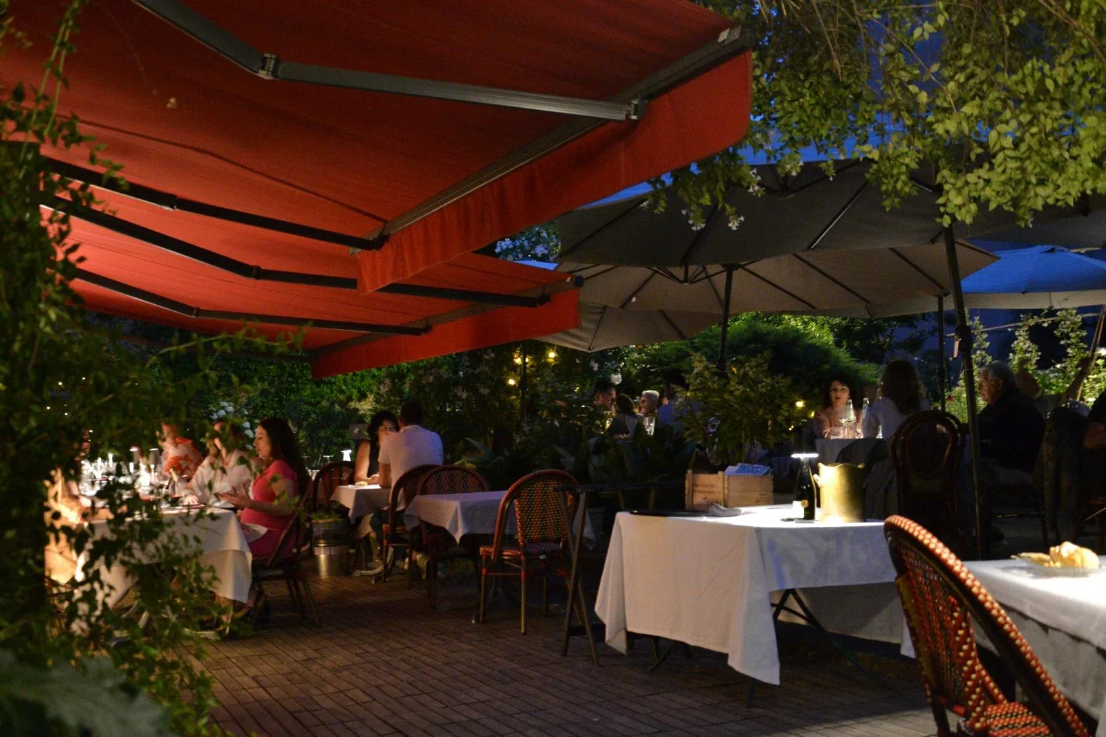 Il giardino, di sera
